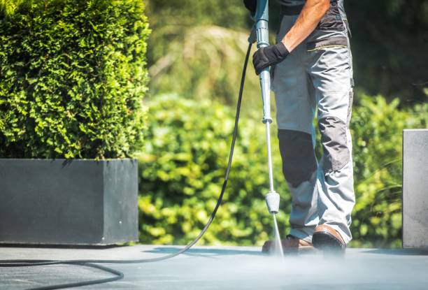 Best Boat and Dock Cleaning  in Medford, WI