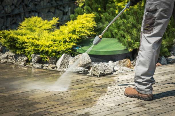 Best Solar Panel Cleaning  in Medford, WI