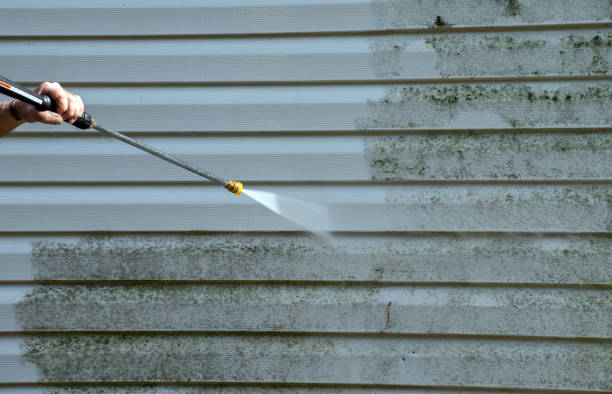 Best Fence Cleaning  in Medford, WI